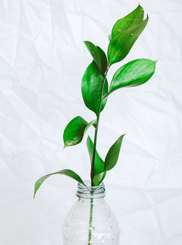 Authentication decoration